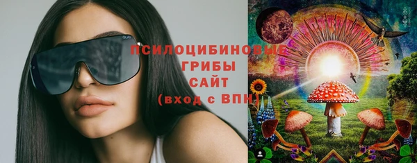 амфетамин Алексеевка