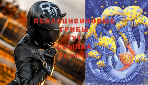 ECSTASY Алзамай